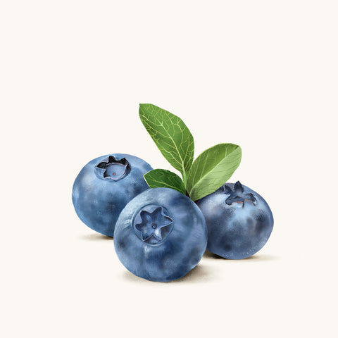 Blueberry